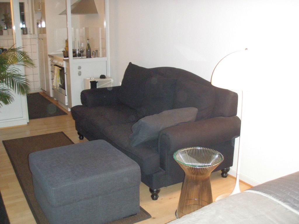 Nyborggade Apartment Копенхаген Стая снимка